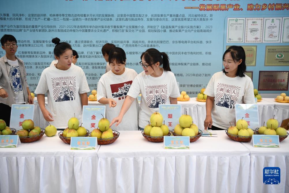 问鼎app官方下载